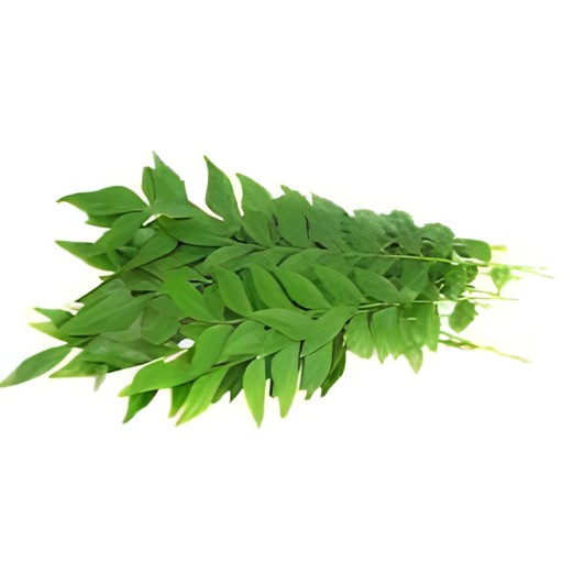 Curry Leaves 1 LBS