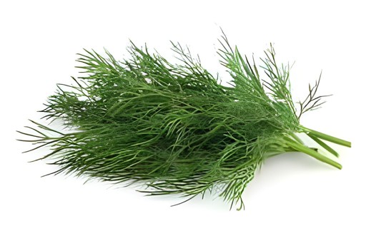 Dill Bunches 1 LBS