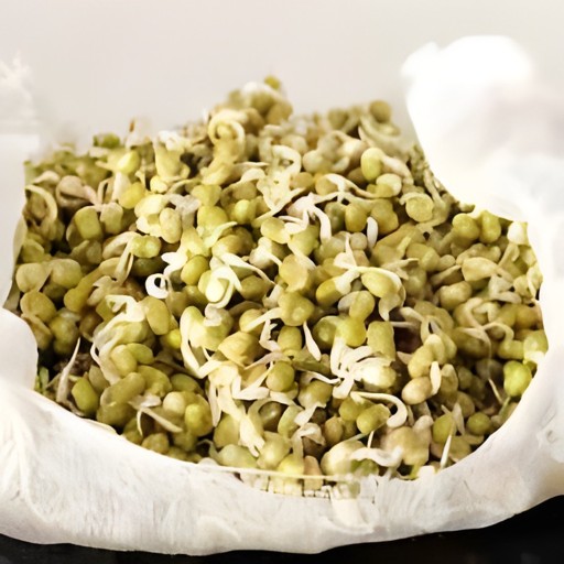 Sprouted Mung Bean 1 LBS