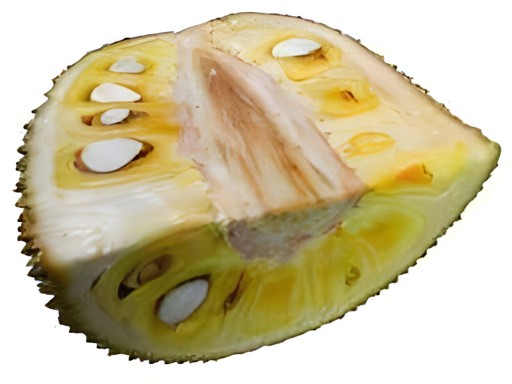 Jackfruit 1 LBS