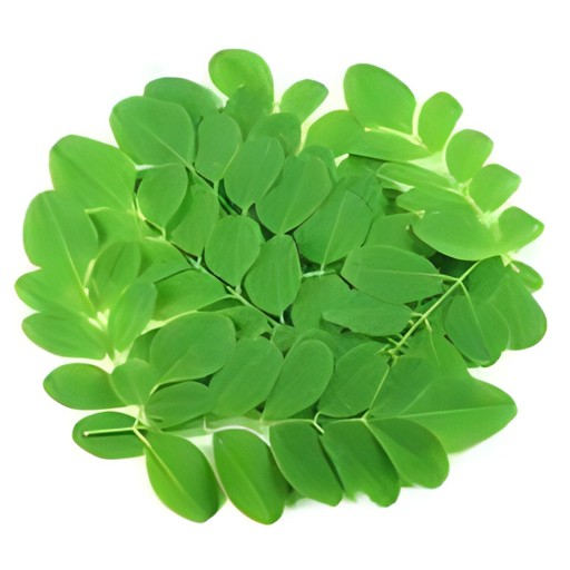Drumsticks Leaves 1 LBS