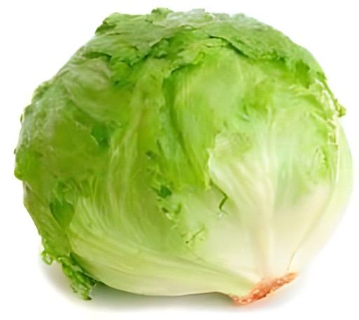 Iceberg Lettuce 1 LBS