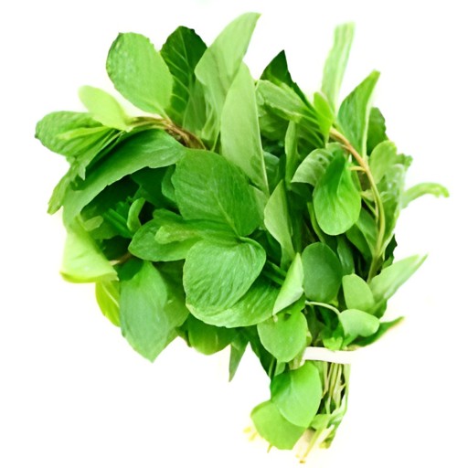 Mint Bunches 1 BUNCH