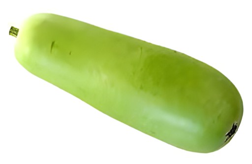 Opo   Dudhi   Lauki   Bottle Gourd 1 LBS