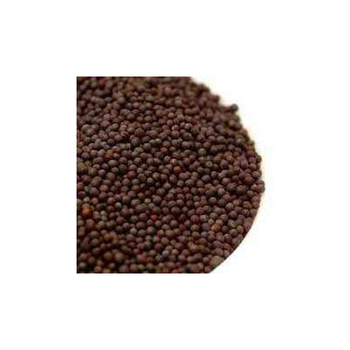 Deep Mustard Seeds 0.44 LBS