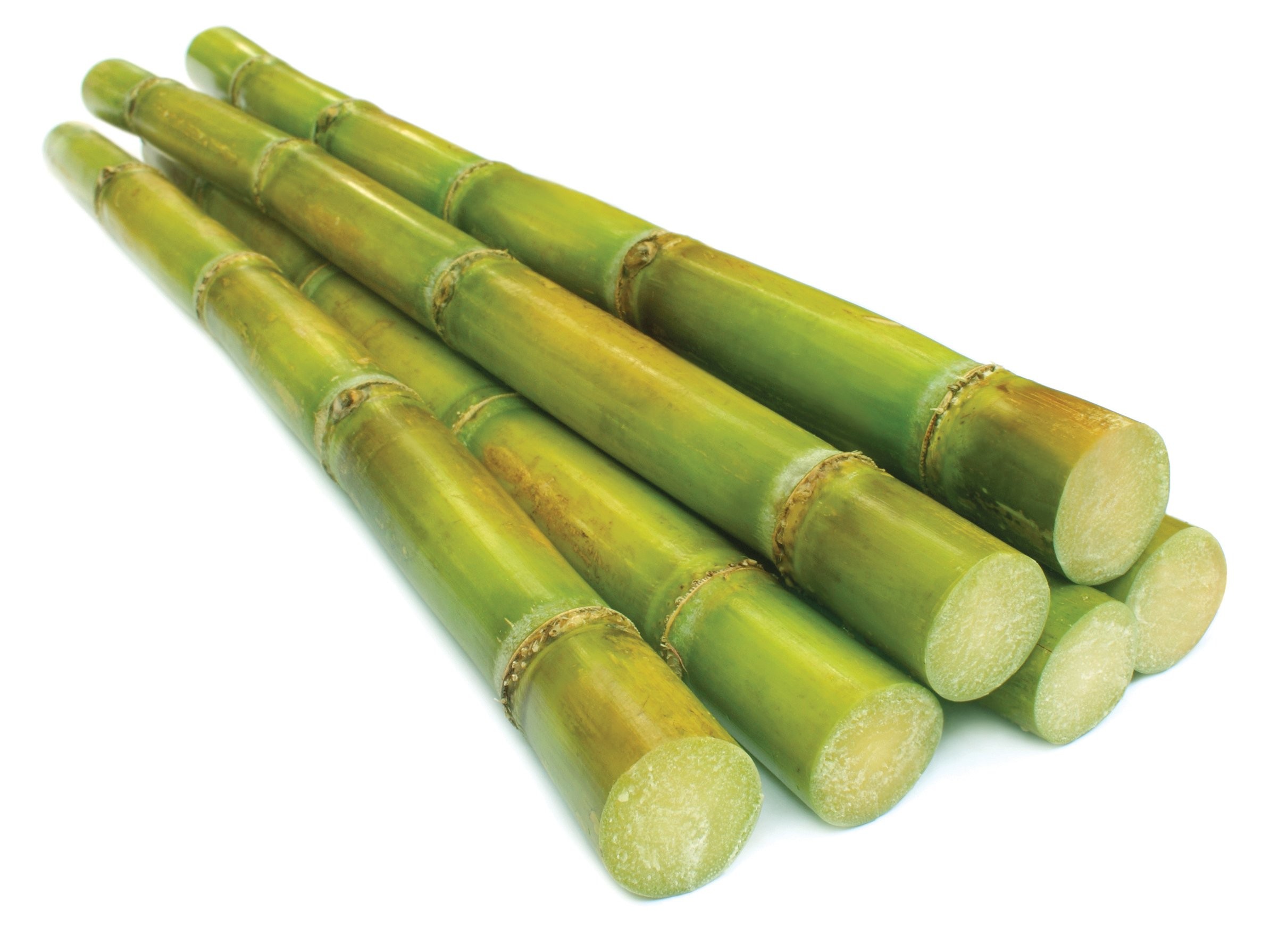 Sugar Cane 1 PCS