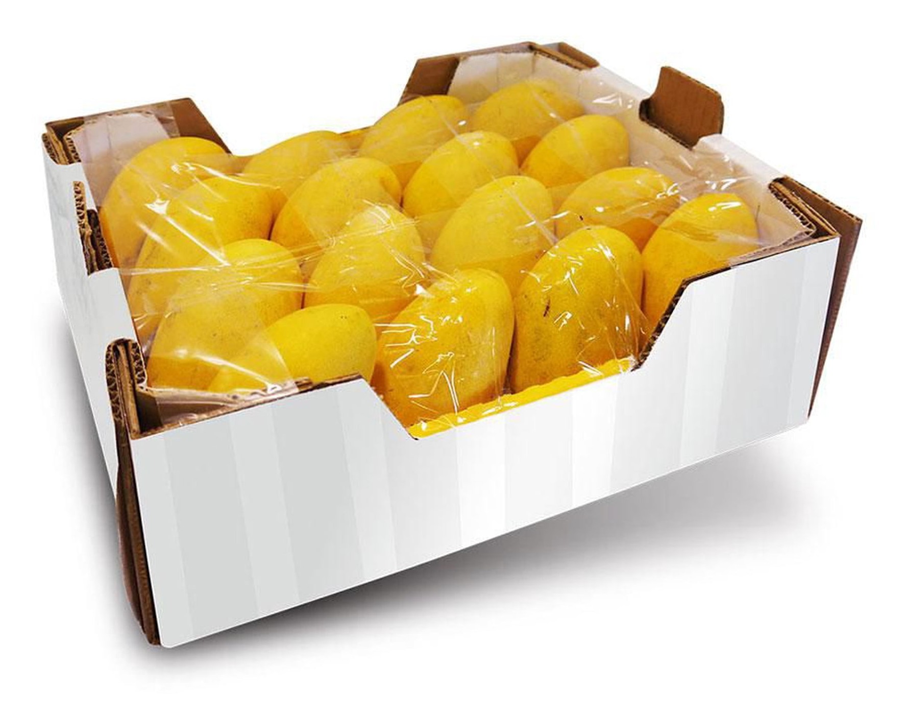 Mango Box 1 Case 1 CASE