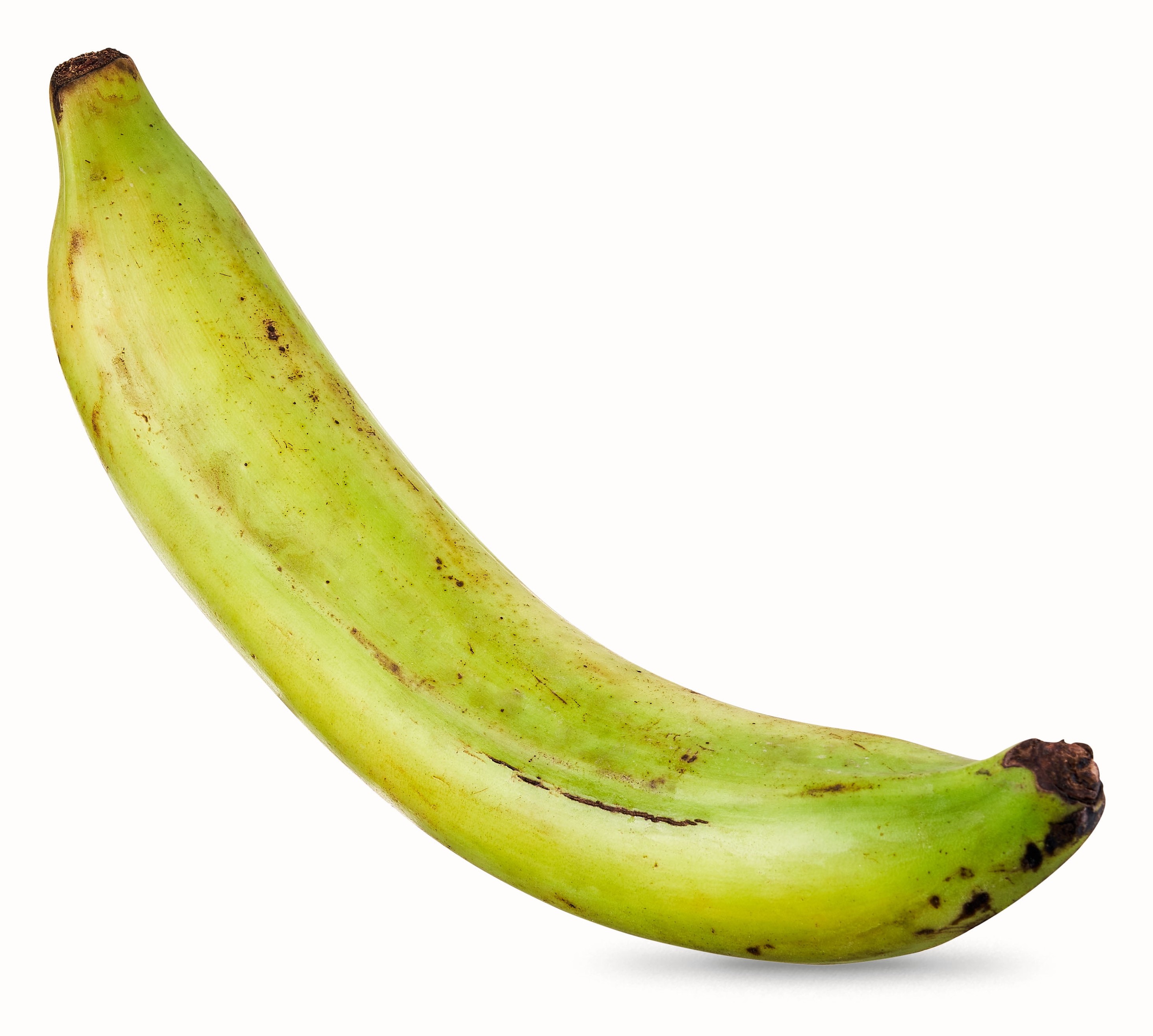 Plantine 1 LBS