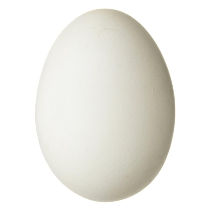 X Large Eggs 1 EACH