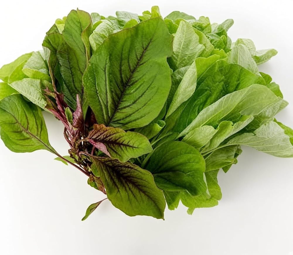 Data Saag 1 LBS