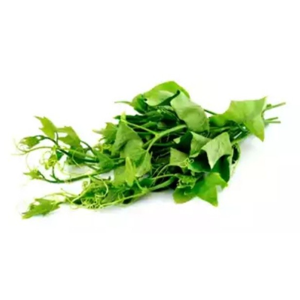 Lau Saag Bottle Gourd Leaf 1 LBS