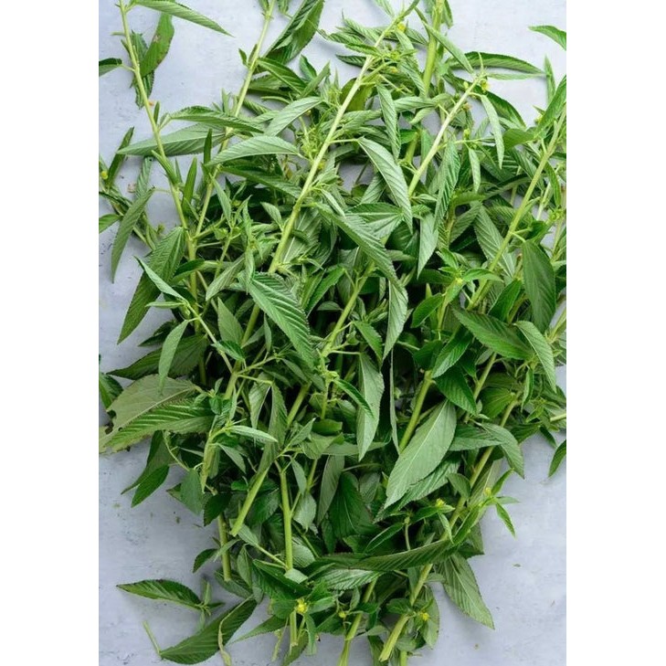 Jute Leafs 1 LBS