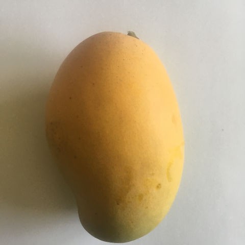 Francis Haitian Mango 12 COUNT