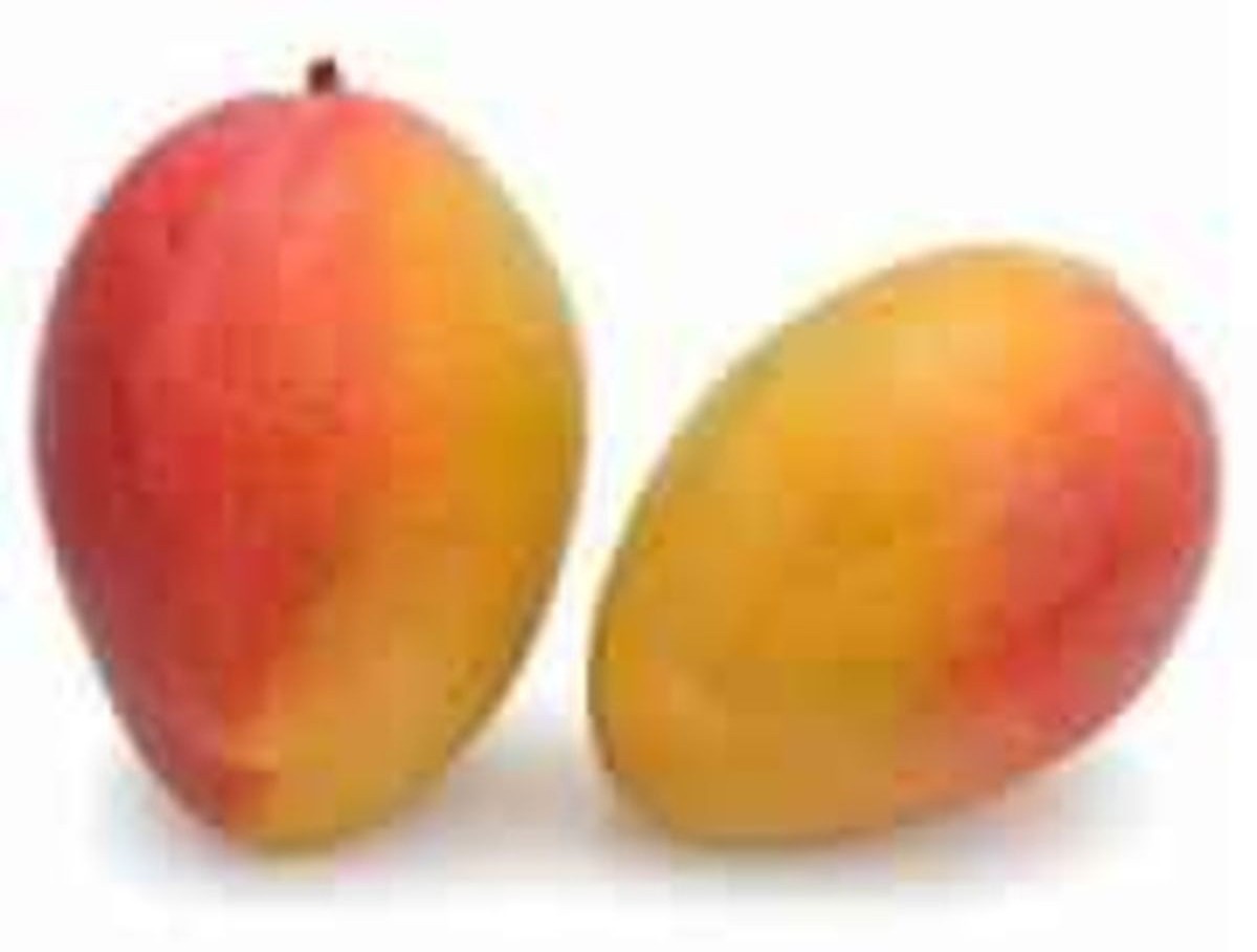 Mr Mango Haden 12 CT