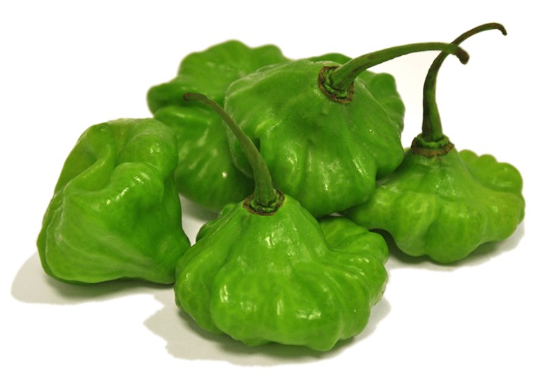 Green Hot Dominican Pepper 1 LBS