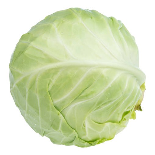 Fresh Cabbage 1 PCS