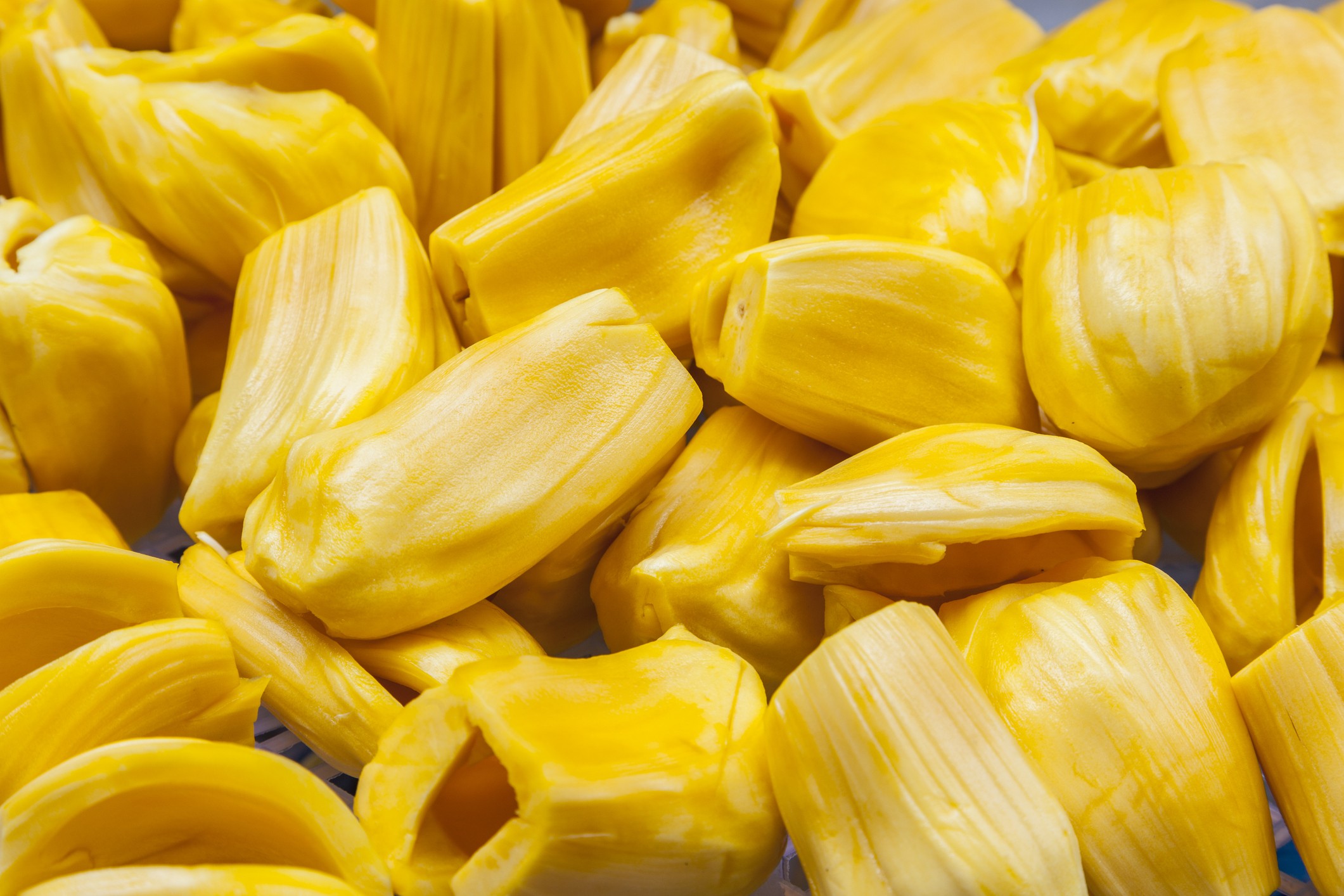 Jackfruit Yellow 1 LBS