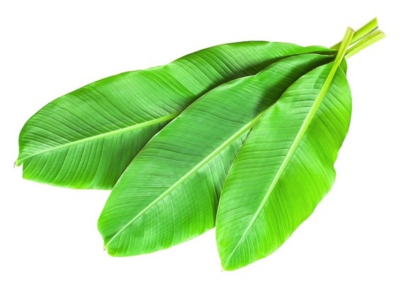 Banana Leaves 1 BUNCH
