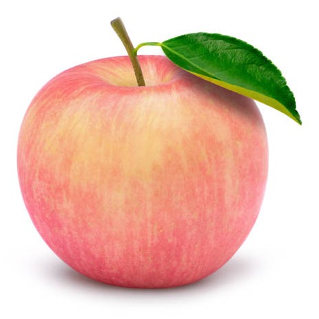 Fuji Apple 1 COUNT