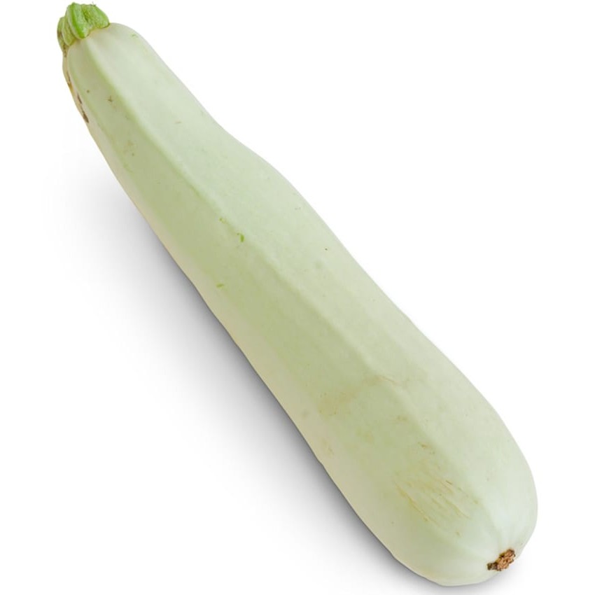 Long Squash 1 EACH