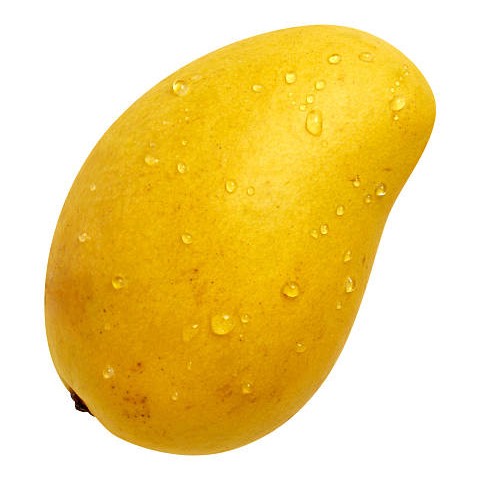 Atul Mango 1 LBS
