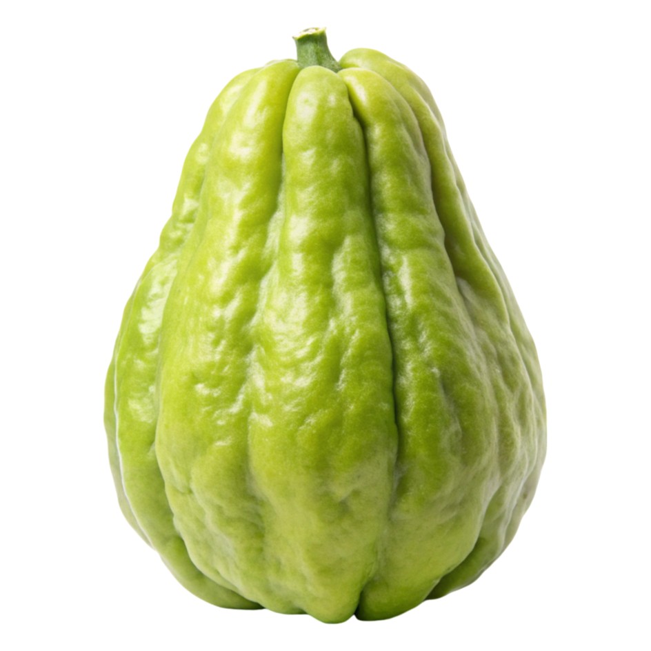 Oraganic Chayote Pc 1 PCS