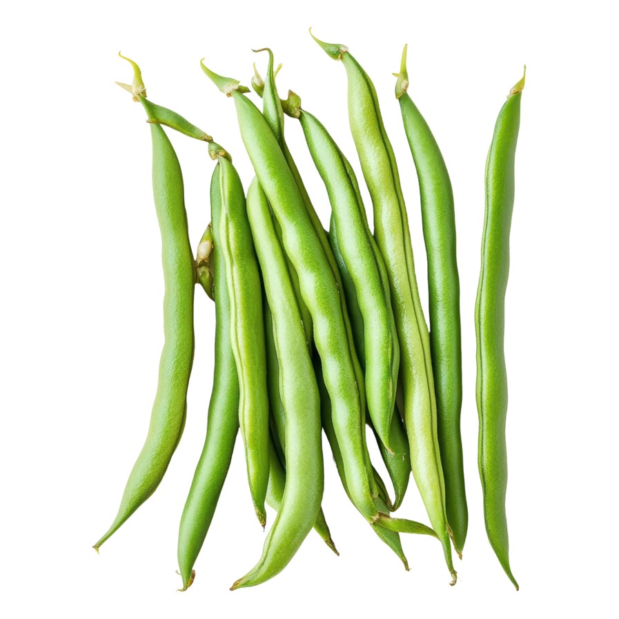 Beans Green 1 PCS