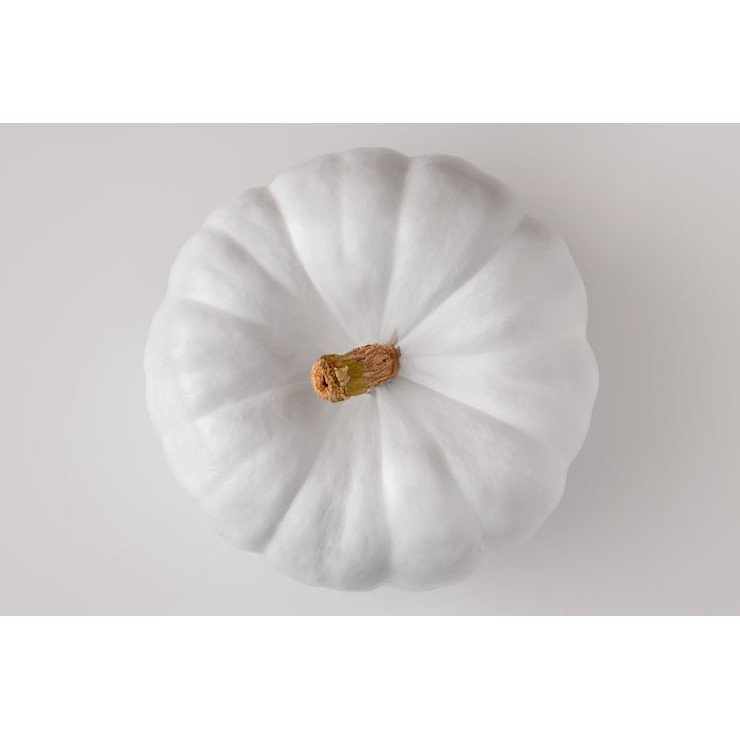 Pumpkin White 1 PCS