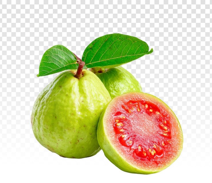 Guava Indian 1 PCS