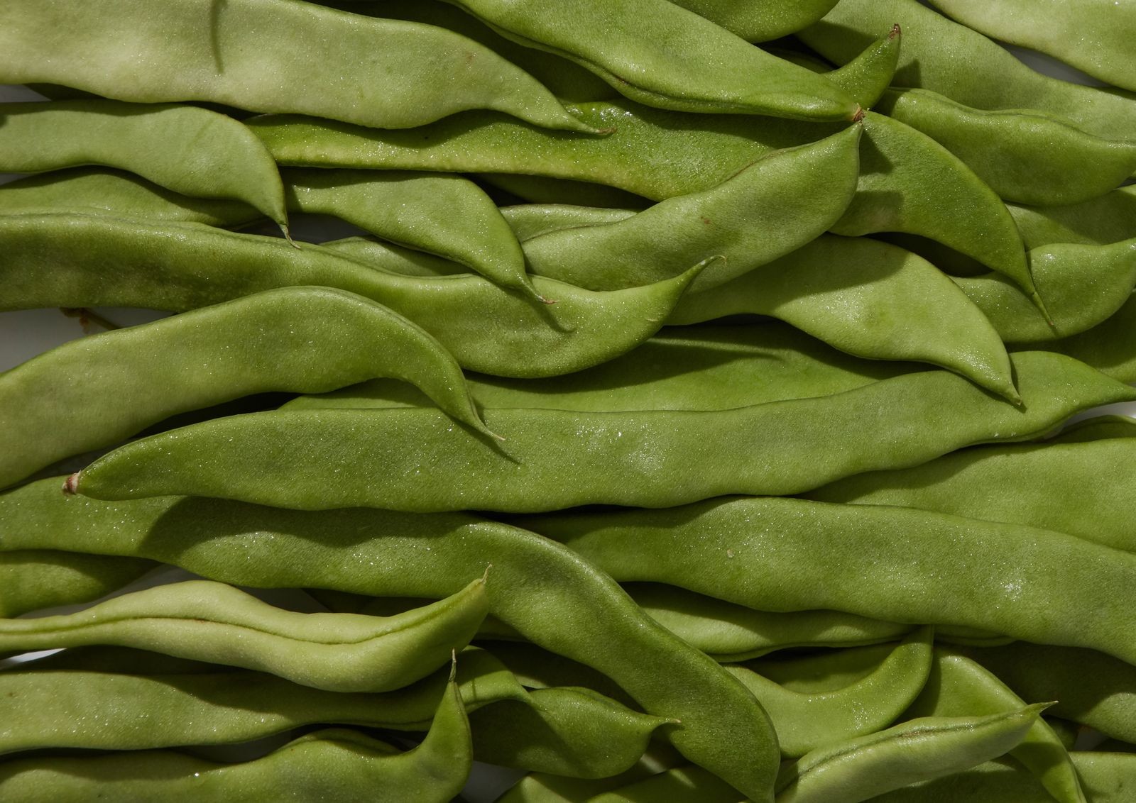 Flat Beans 1 PCS