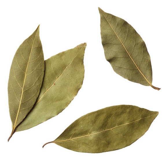 Jiva Organic Bay Leaf 227 GM