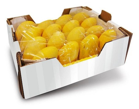 Gole Mango White Box 1 Case 1 CASE