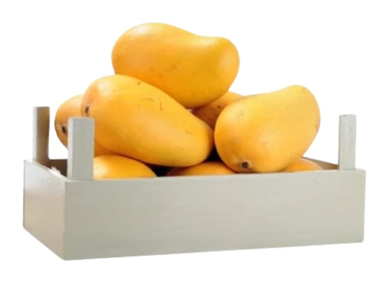 Haitian Mango Box 1 Case 1 CASE