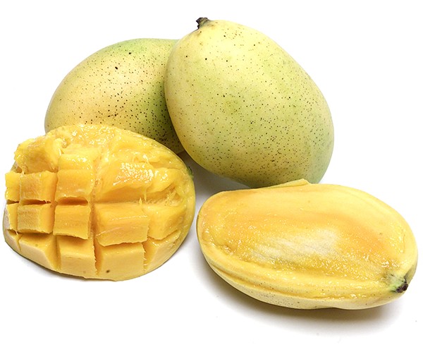 Haitian Mango Loose 1 Case 1 CASE