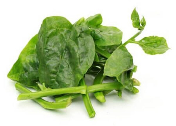 Poi Leaves 1 PACK
