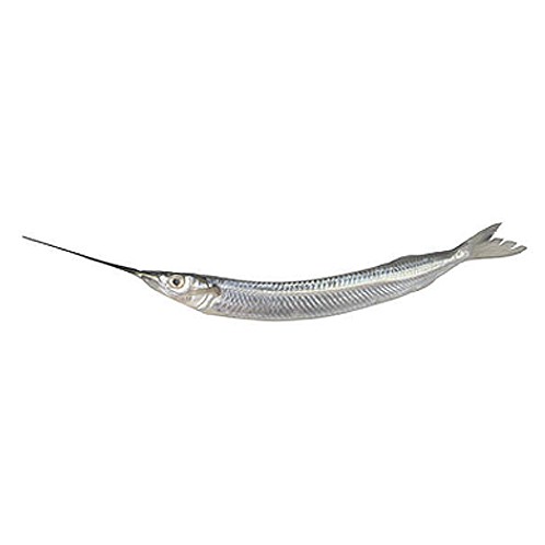 Kakila 1 LBS