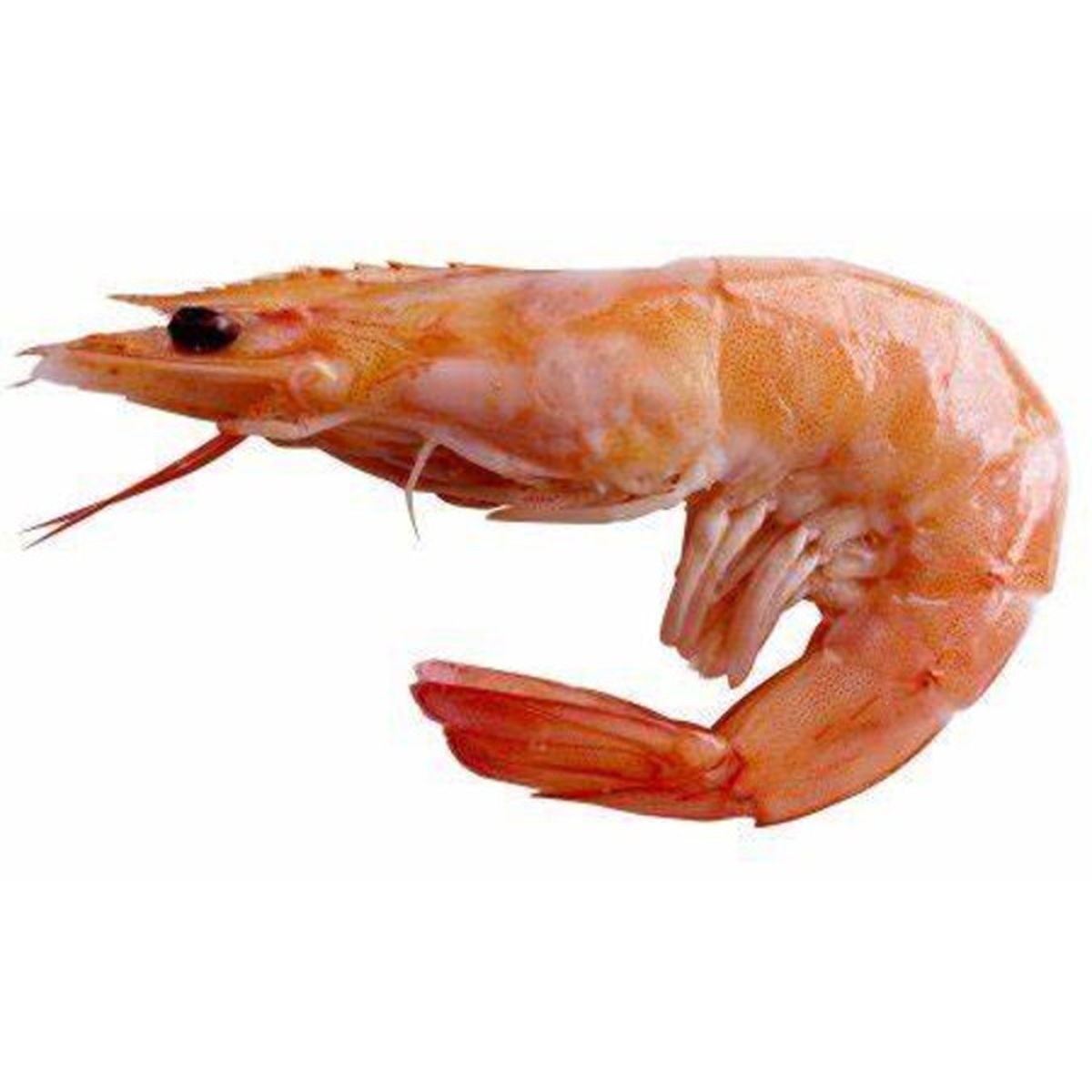 Putul Shrimp 16 20 3 LBS