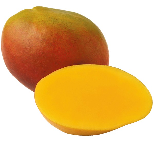 Mango Tommy 9 COUNT