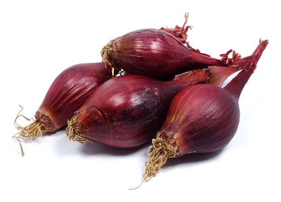 Pearlredonion 25 LBS