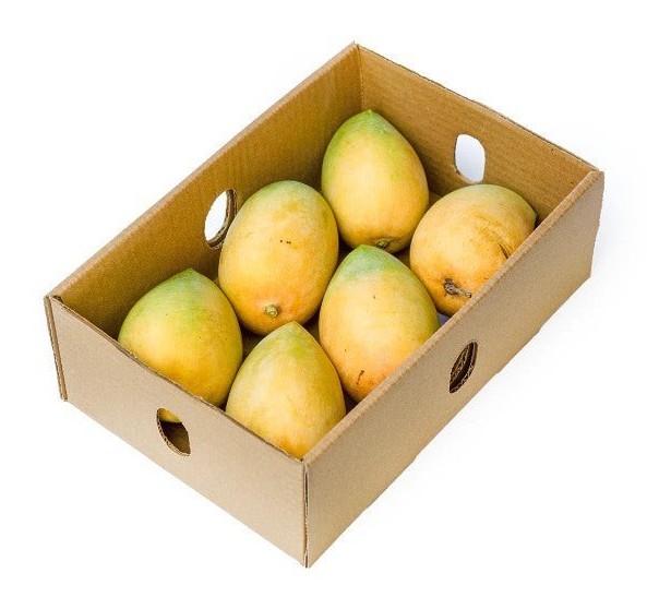 Kesar Mango 1 BOX
