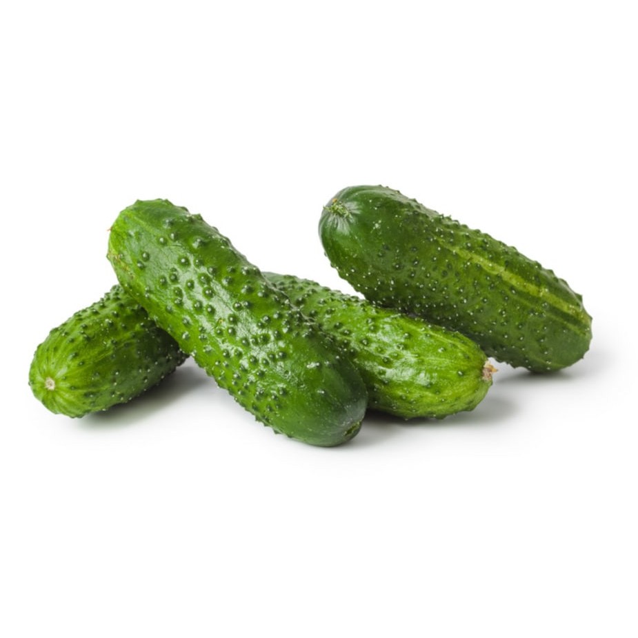Cucumber Pickling 1 LBS