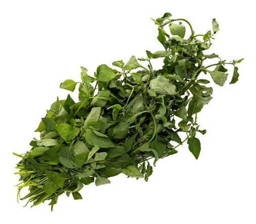 Llierva Mora Bunch 1 BUNCH