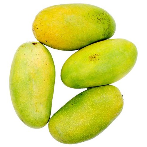 Case Mango Dasheri 1 Case 1 CASE