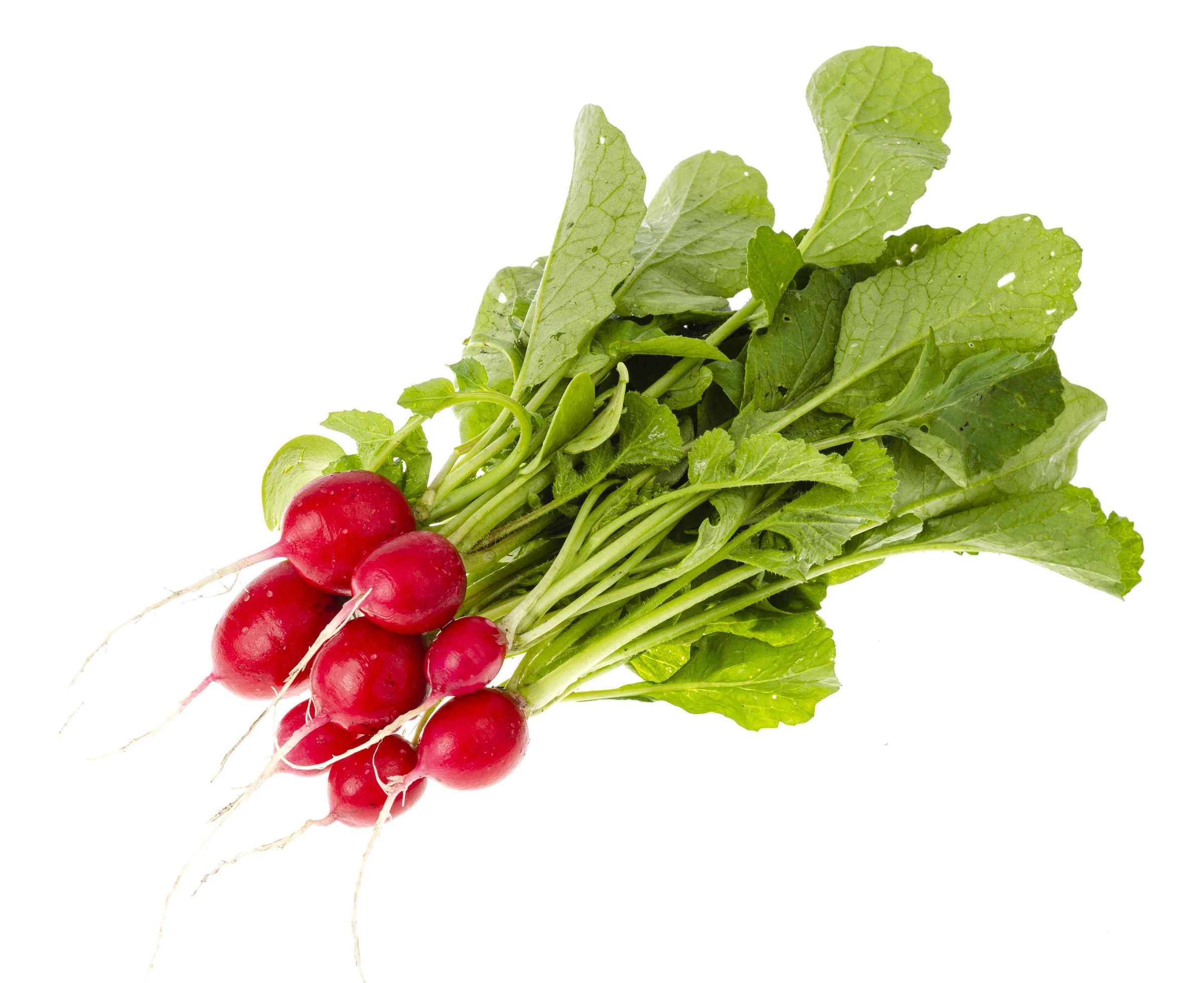 Radish Leaves In Bag 1 BAG