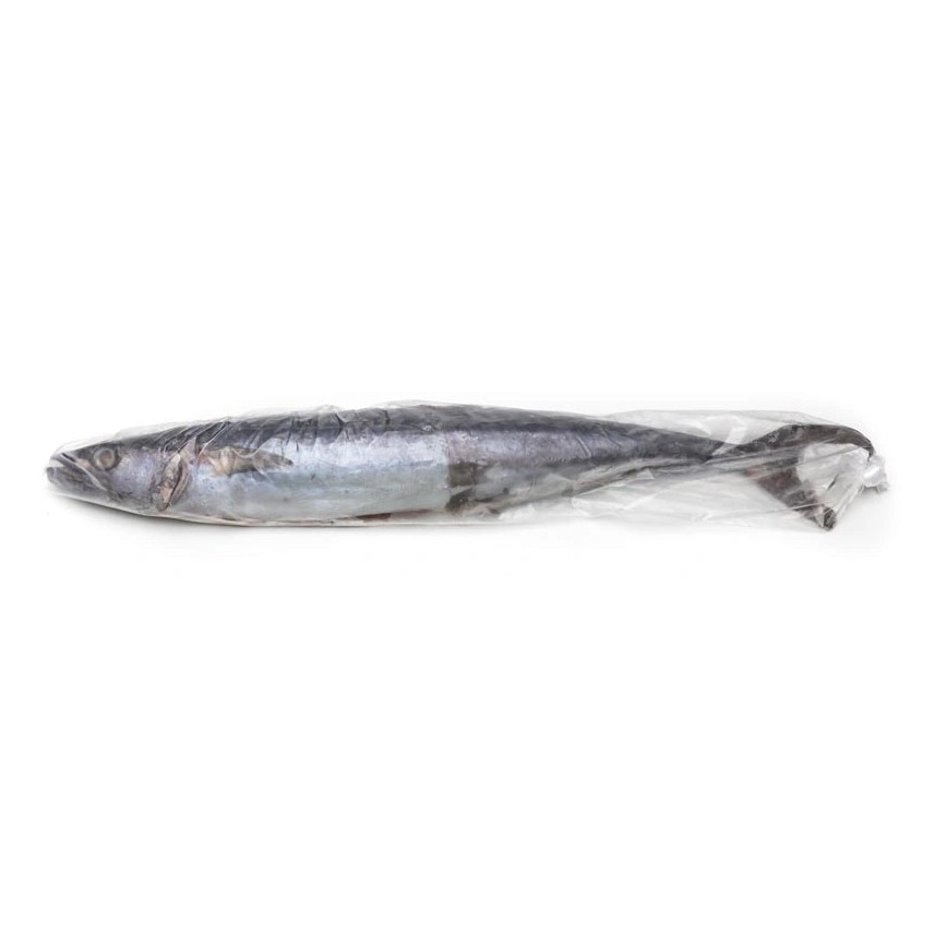 Mackerel Whole Frozen 1 PACK