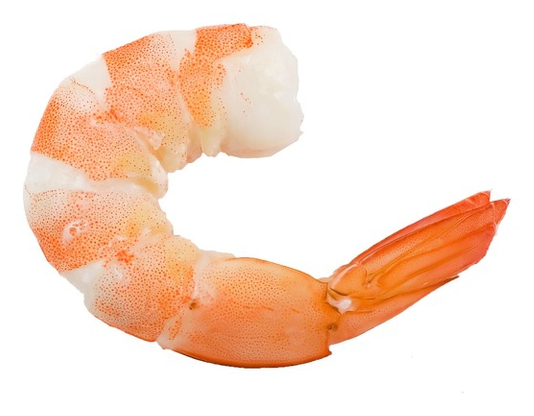 Shrimp Cooked Blue Sea 1 PACK