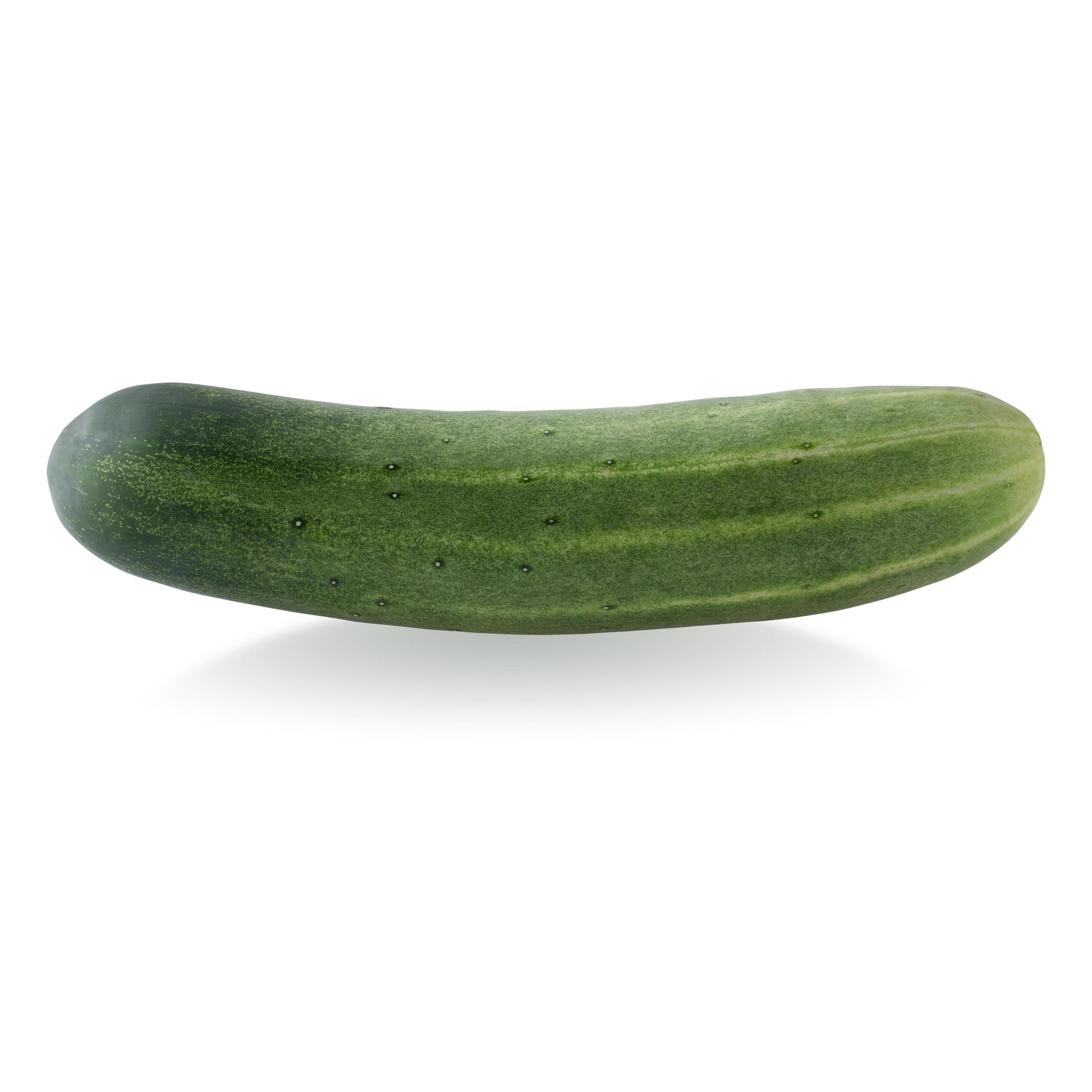 Indian Cucumber 1 PCS