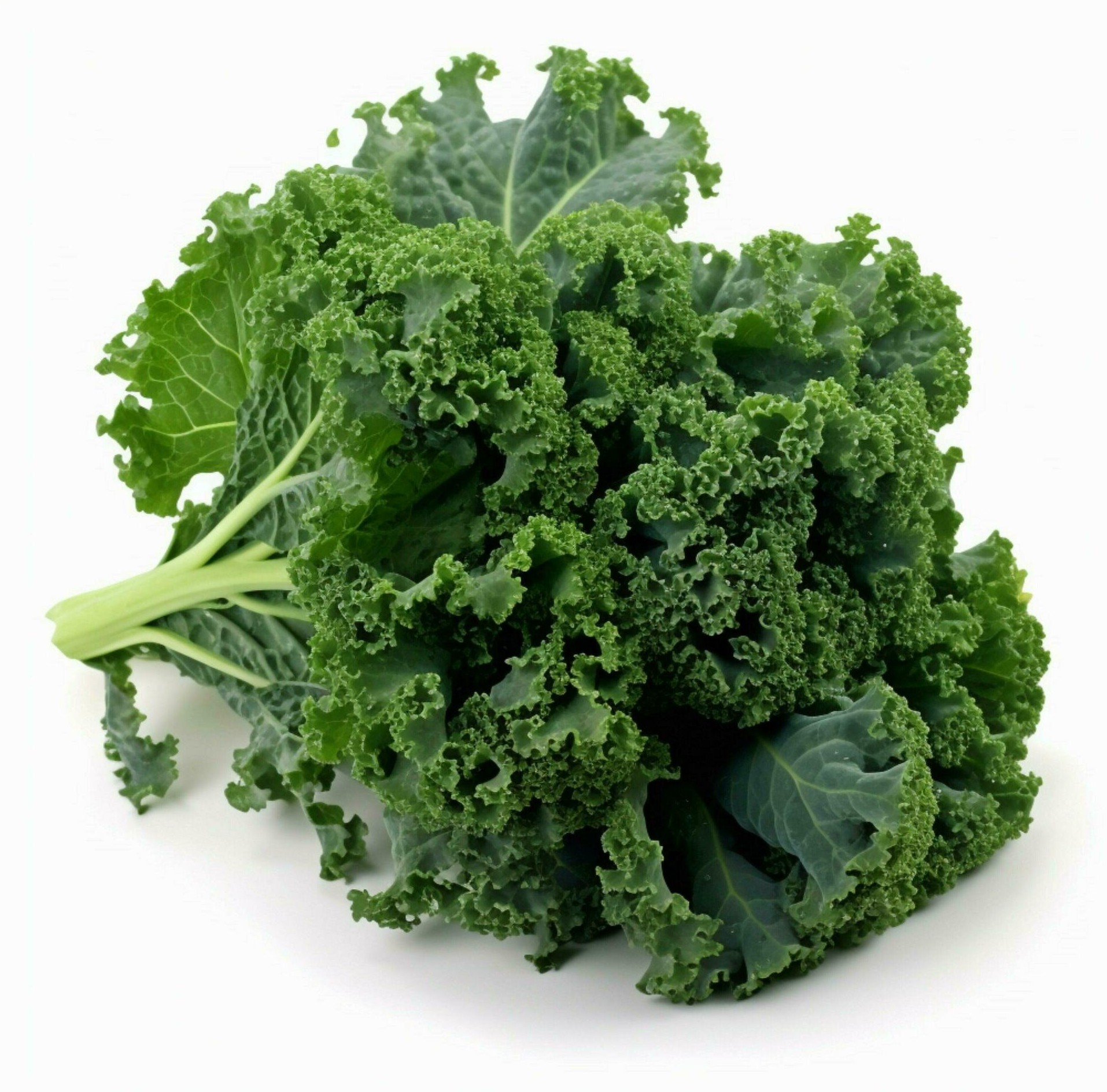Kale 1 BUNCH
