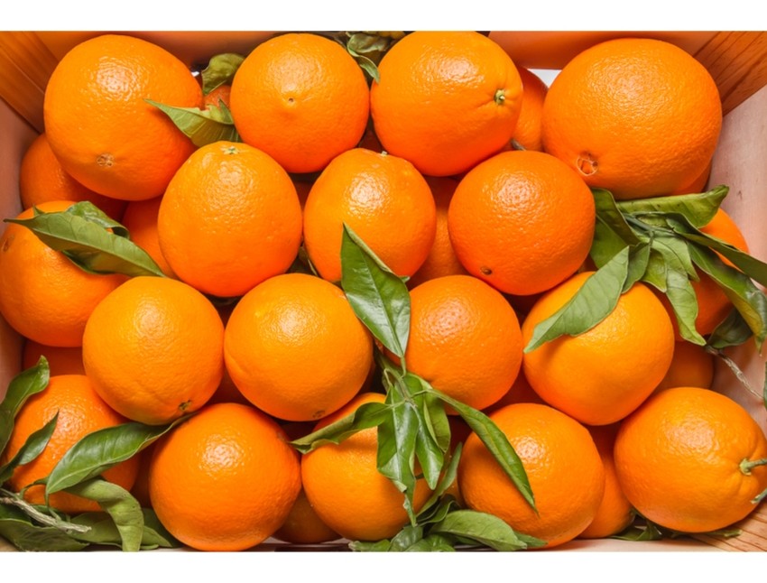 Oranges Box 1 LBS