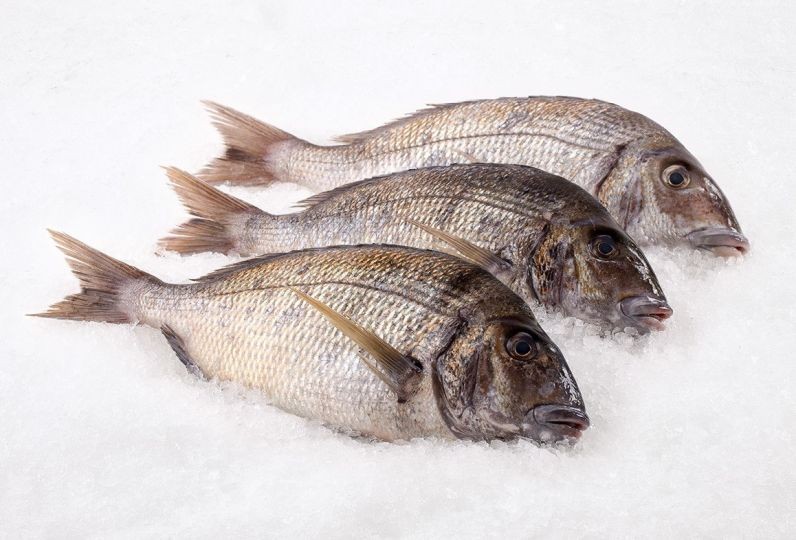 Porgy 4 LBS